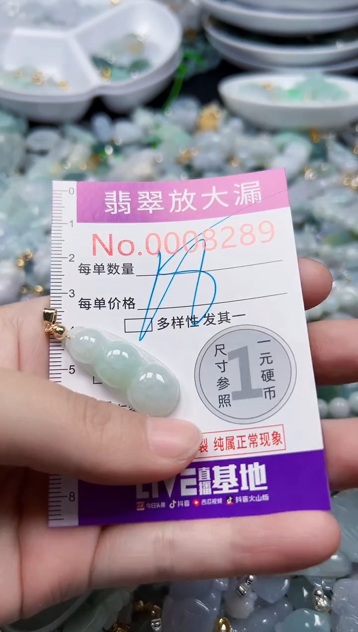 颈饰未镶嵌翡翠8289