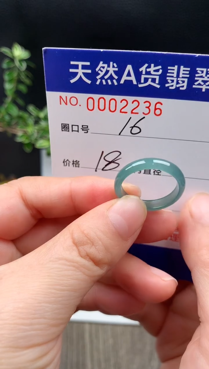 未镶嵌戒指翡翠16#