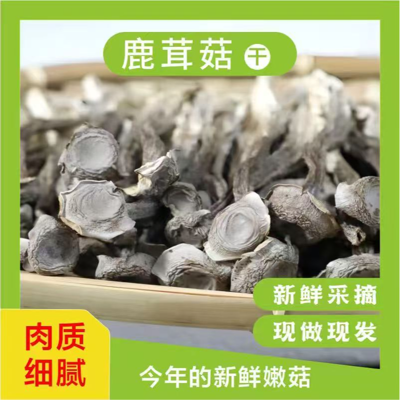 鹿茸菇干货100g/袋 干货炒肉炖煲汤鲜美 营养美味