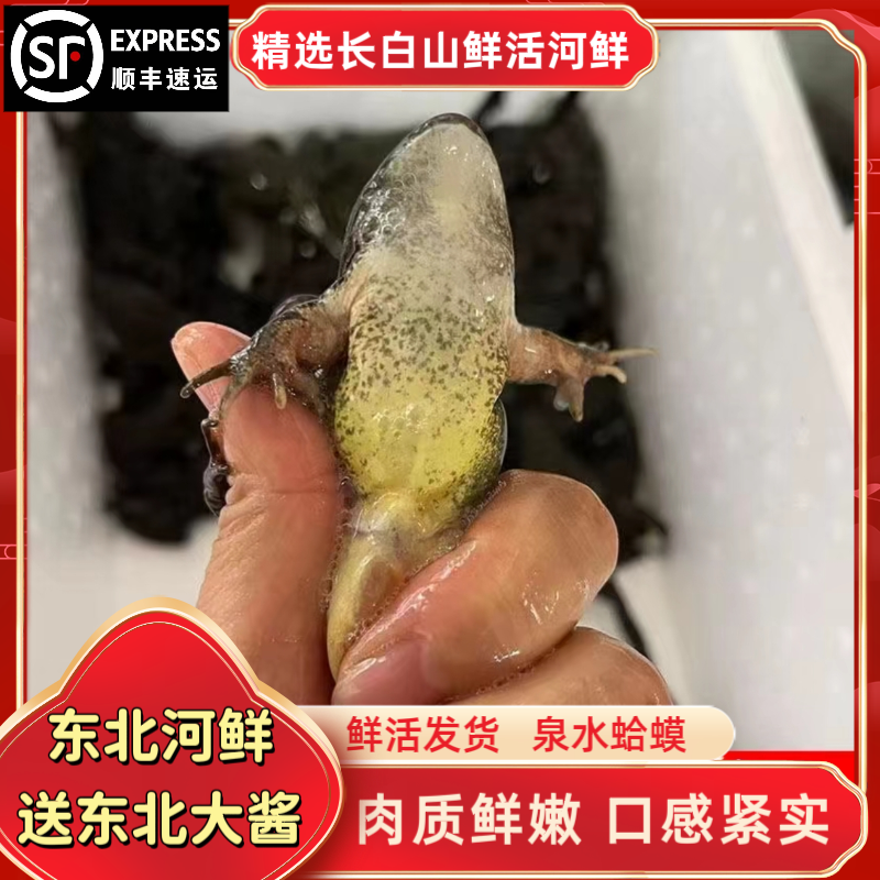东北河鲜  （公）河鲜肉质鲜嫩【顺丰包邮】保鲜不保活
