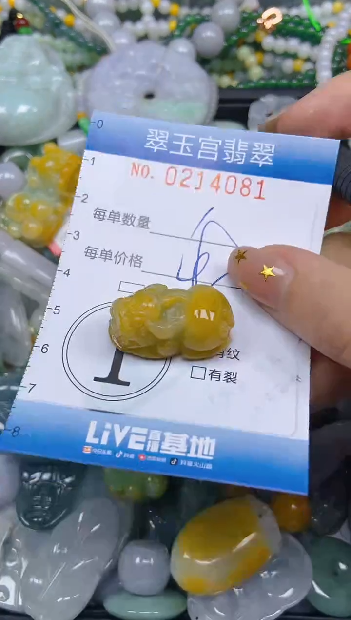 颈饰未镶嵌翡翠闪购C0214081