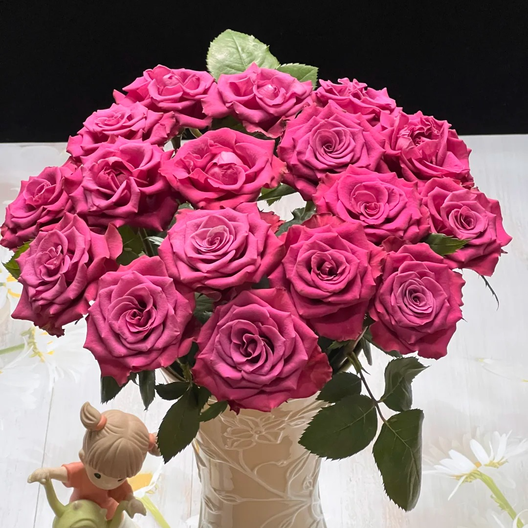 【云南鲜花】单头（蓝莓）玫瑰花 云南鲜花基地直发