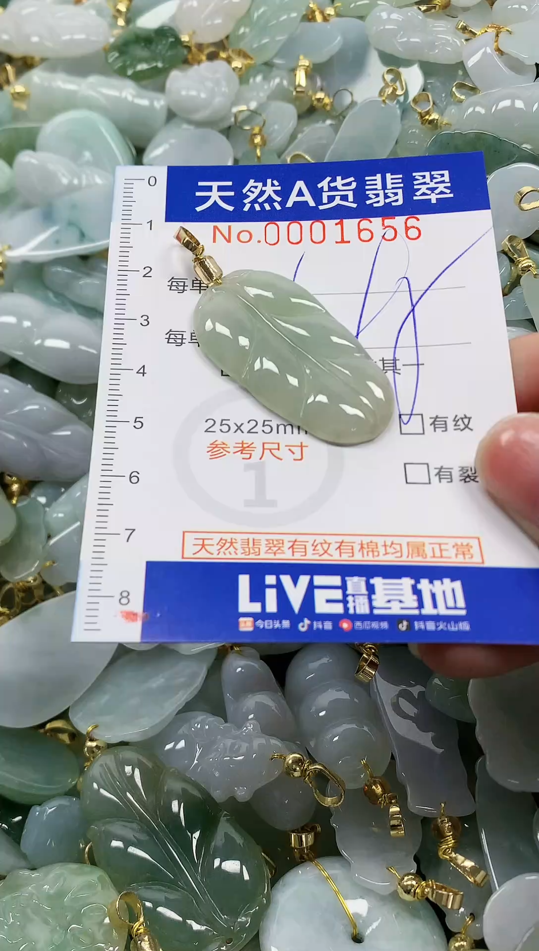 颈饰未镶嵌翡翠纯天然a货翡翠