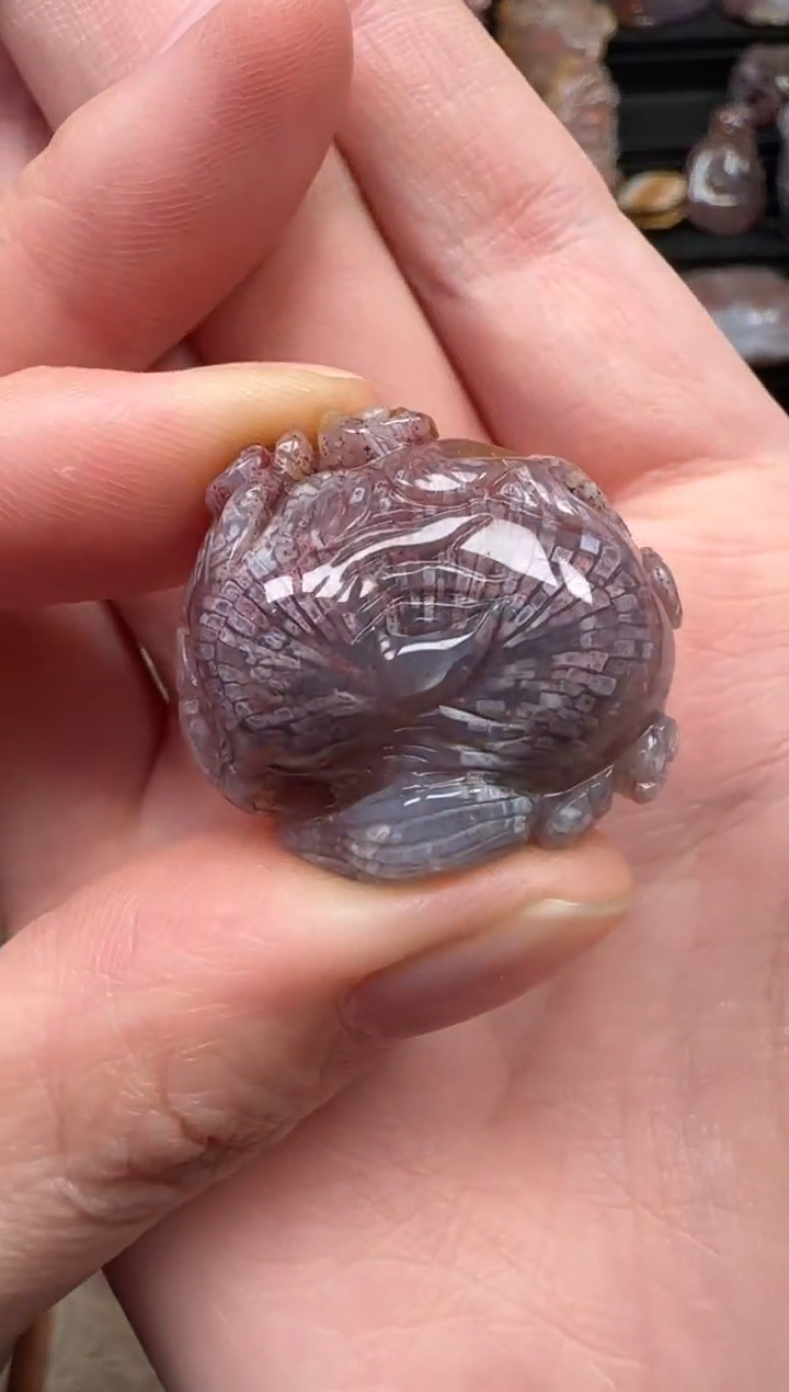 颈饰未镶嵌硅化珊瑚（珊瑚玉）114