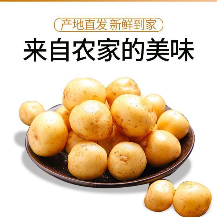 黄皮新鲜农家小土豆
