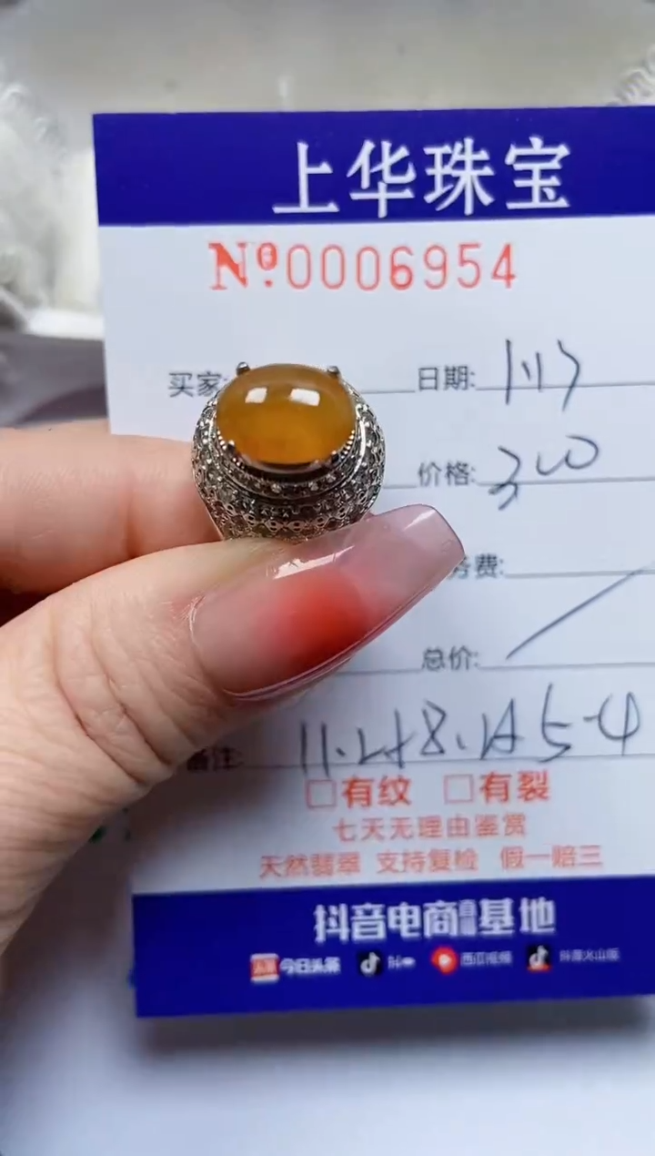 【闪购商品】翡翠颈饰未镶嵌69540000