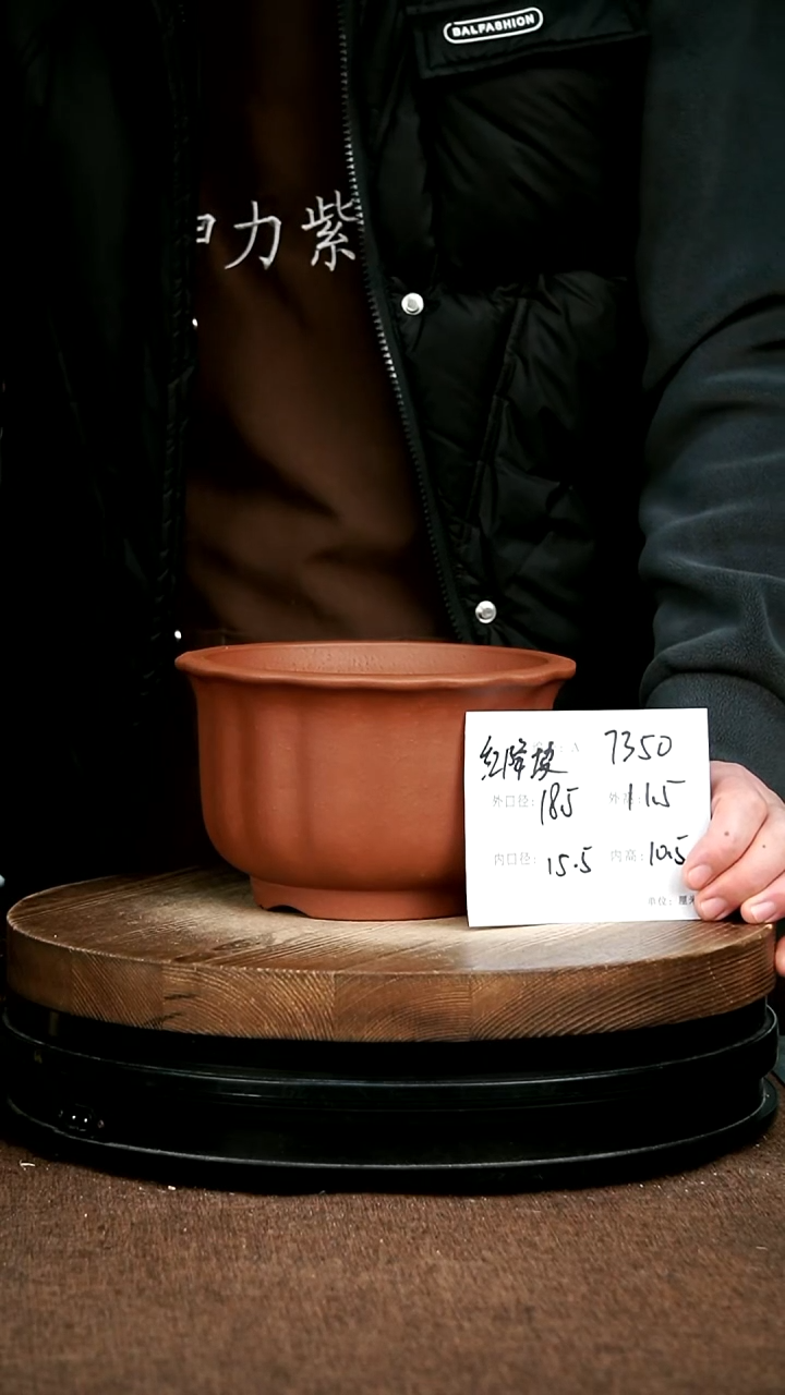 紫砂花盆花卉园艺7350