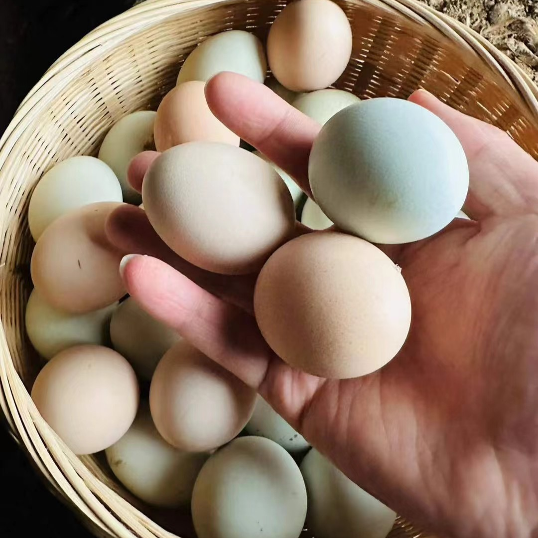 湖北黄冈老乡自家散养土鸡蛋20枚