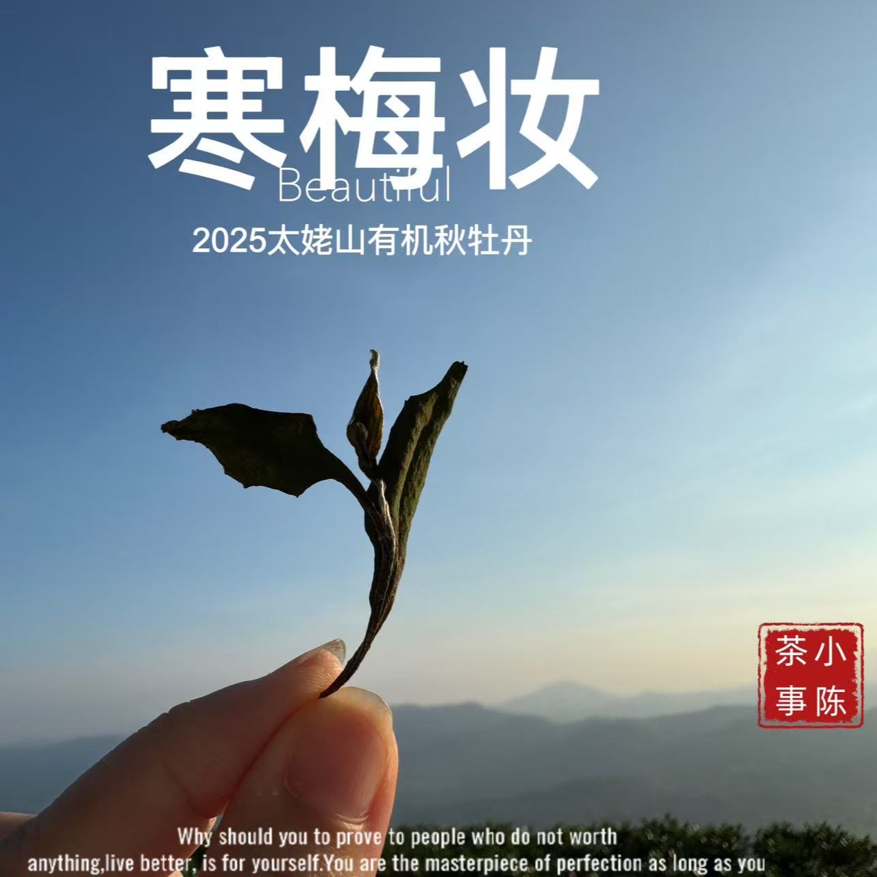 [2025秋牡丹预订]有机茶的成品，普通茶的价格，嫩、鲜、香到了心口