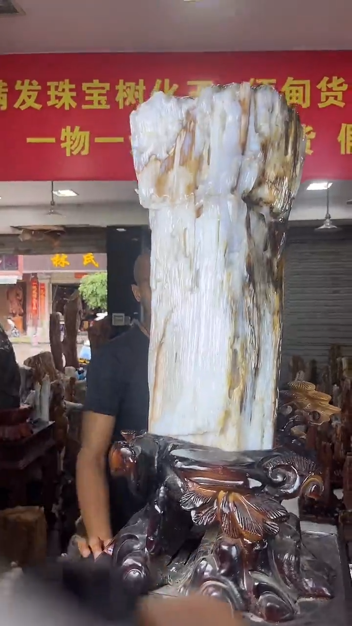 缅甸天然硅化木摆件