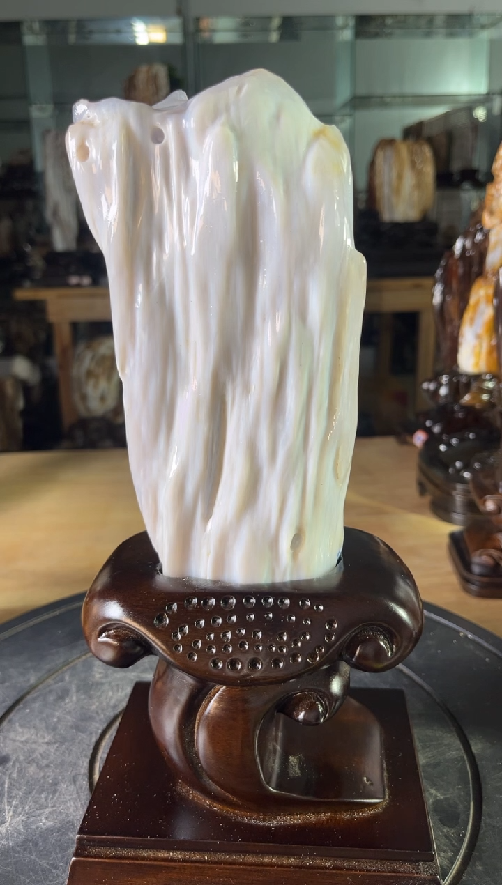 【闪购商品】硅化玉珠宝奇石未镶嵌1