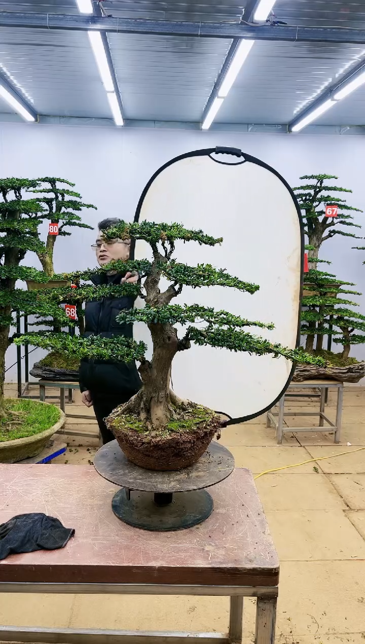 【闪购商品】一物一拍，所见即所得