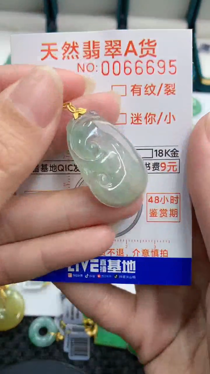 【闪购商品】翡翠颈饰18K金镶嵌            8