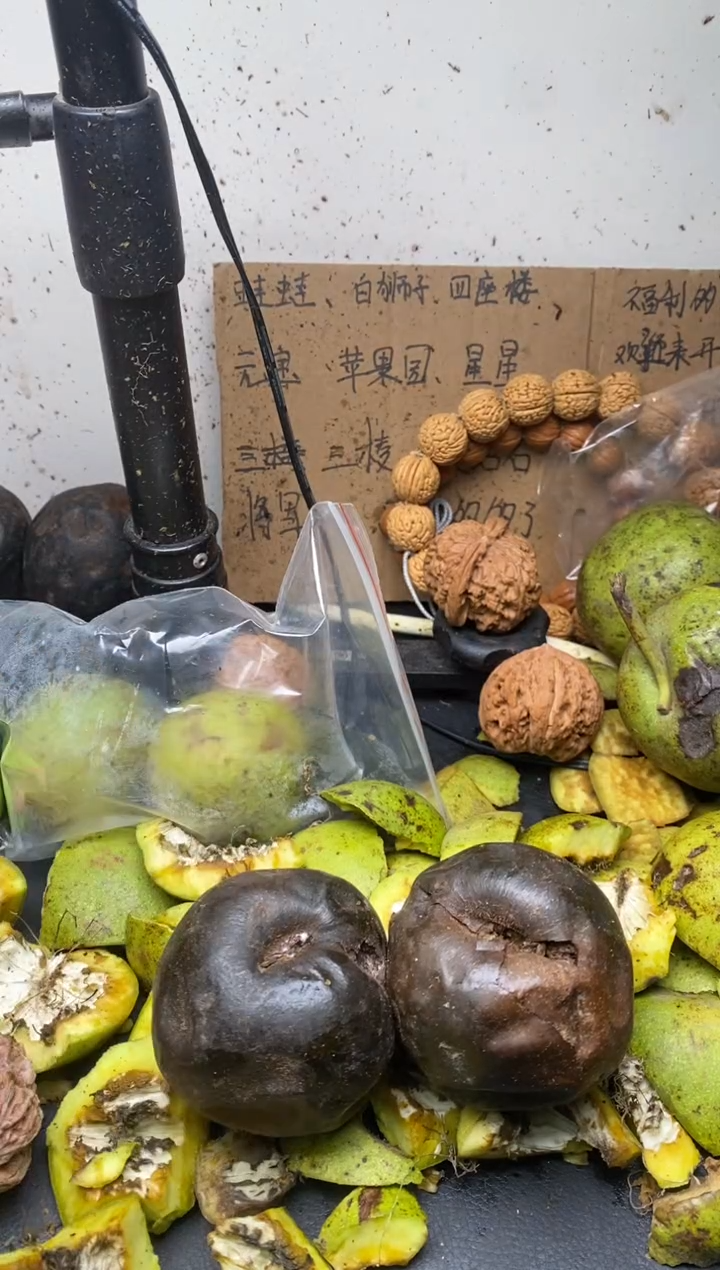 黑蛋四座楼111111