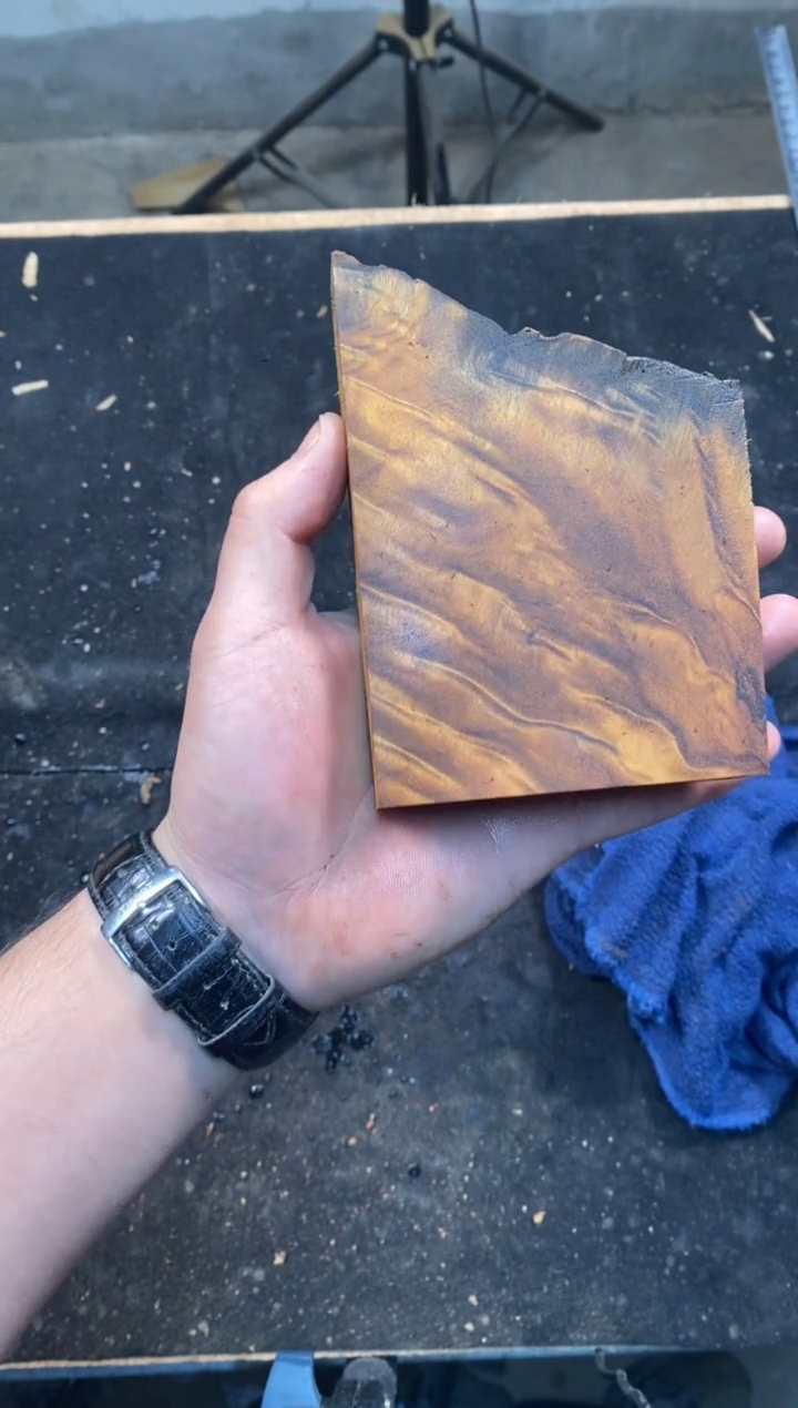 了**木金丝楠小叶桢楠1