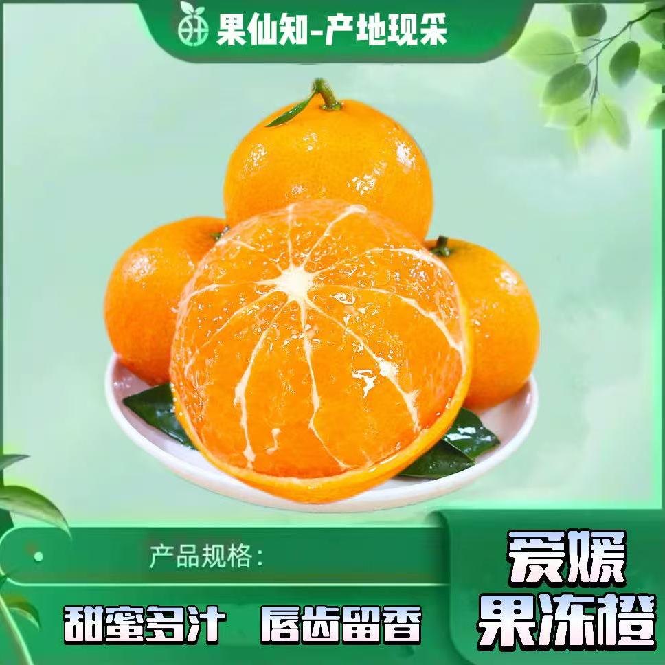 【爱媛果冻橙-果冻口感-特大果-净重4斤】云南省