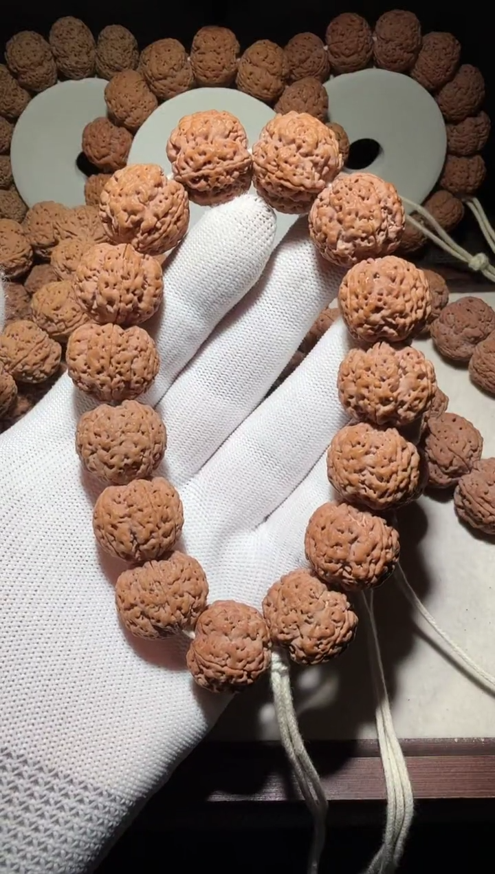 【闪购商品】金刚菩提手串粗筋深沟梅花双龙21