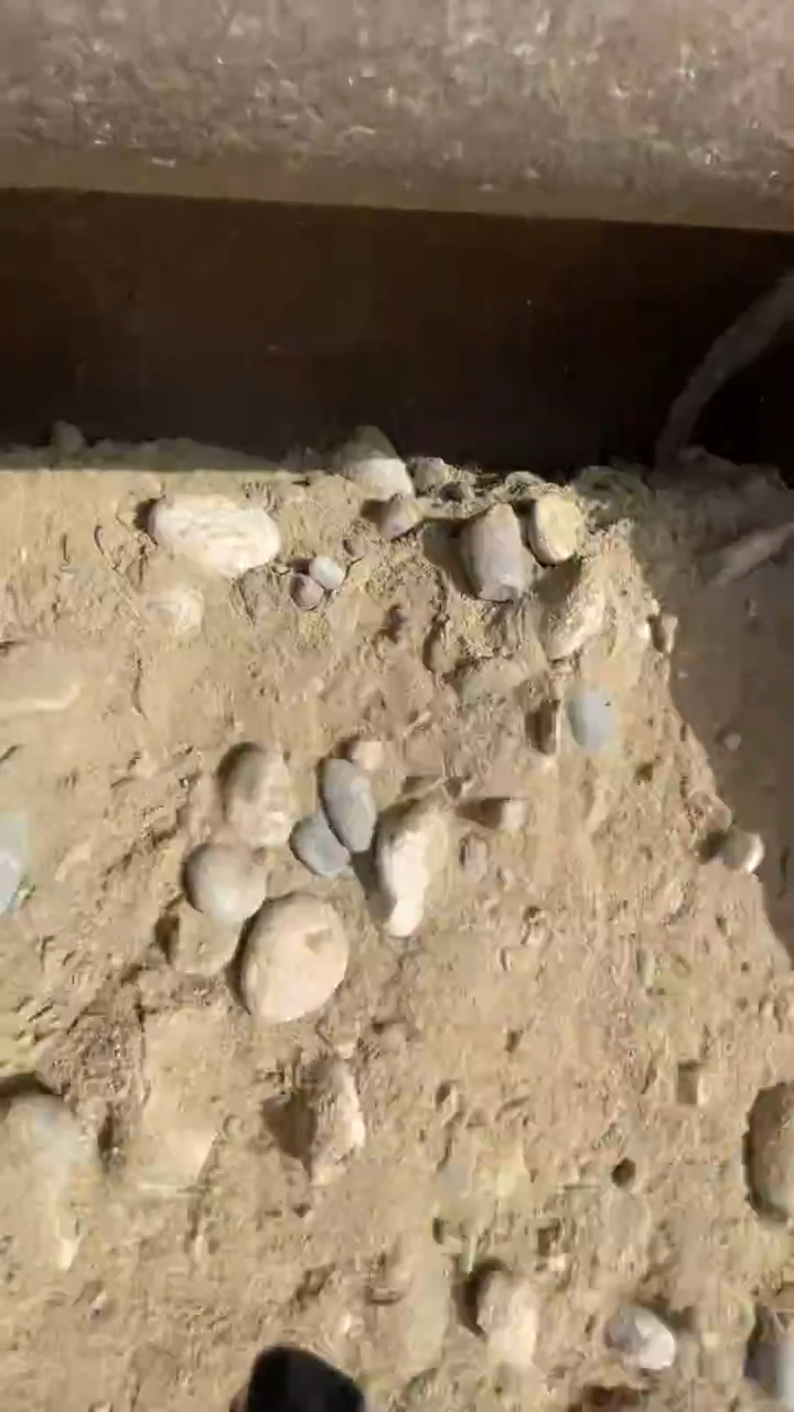 颈饰未镶嵌和田玉（糖玉）知*11