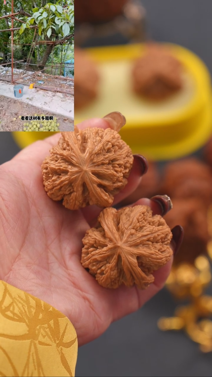 【闪购商品】文玩核桃吊坠39平谷大粗筋