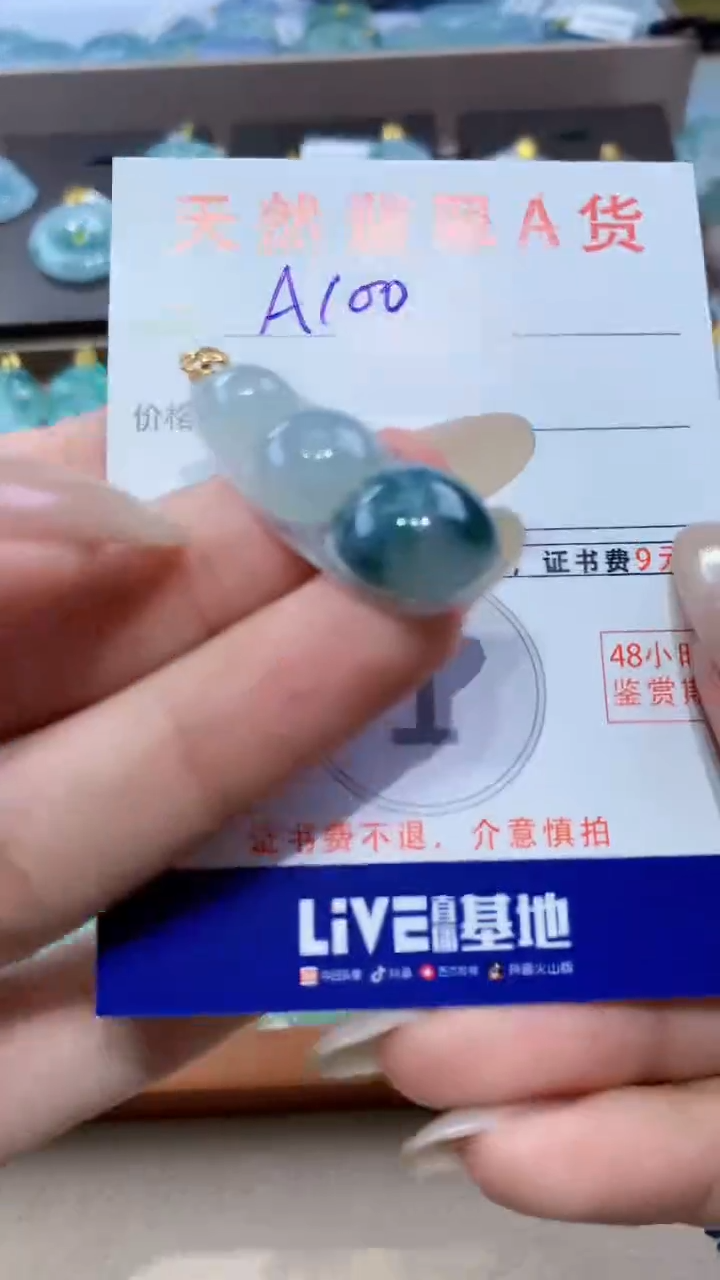 颈饰未镶嵌翡翠 天然翡翠A货挂件