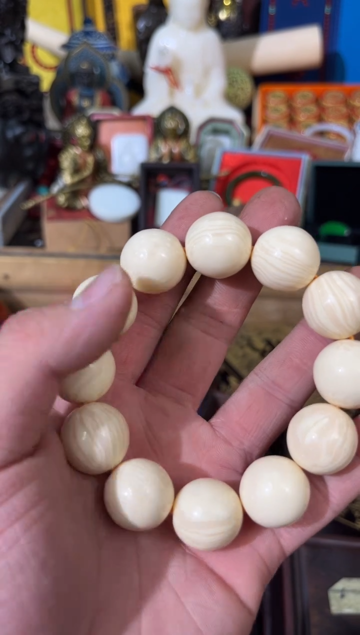 【闪购商品】 龙龙龙龙龙龙龙龙