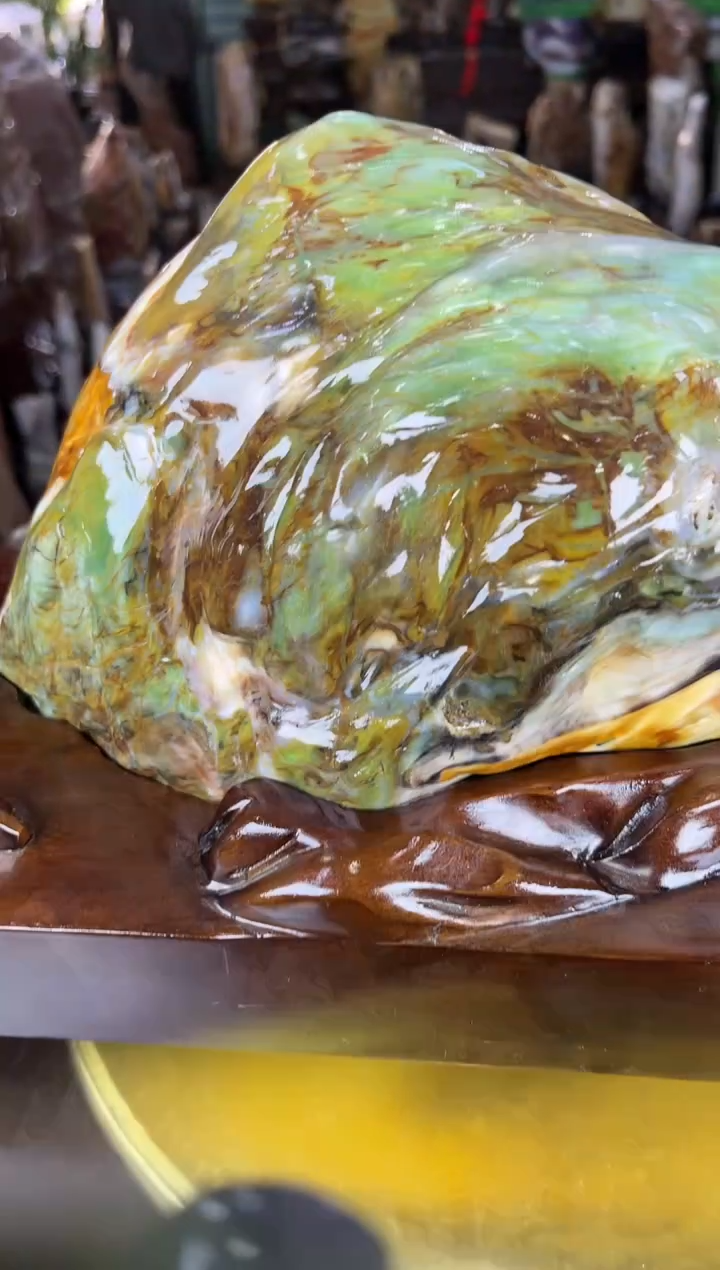 未镶嵌珠宝奇石硅化玉缅甸天然树化玉精品居家摆件