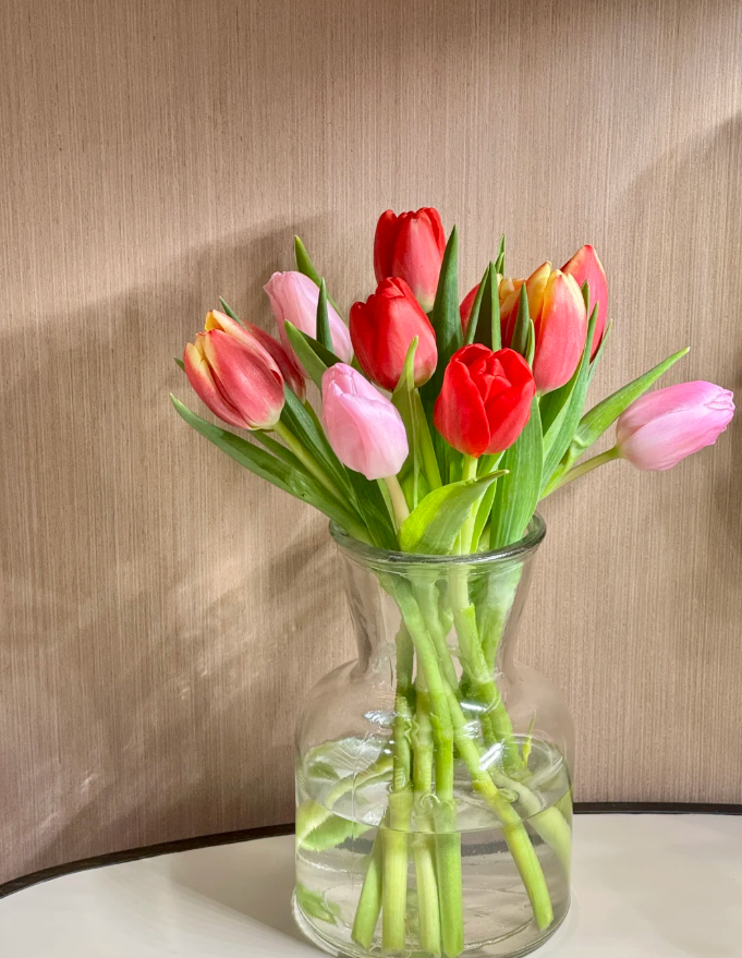 【新疆花之溪】郁金香10枝 颜色随机 （1枝不赔付)