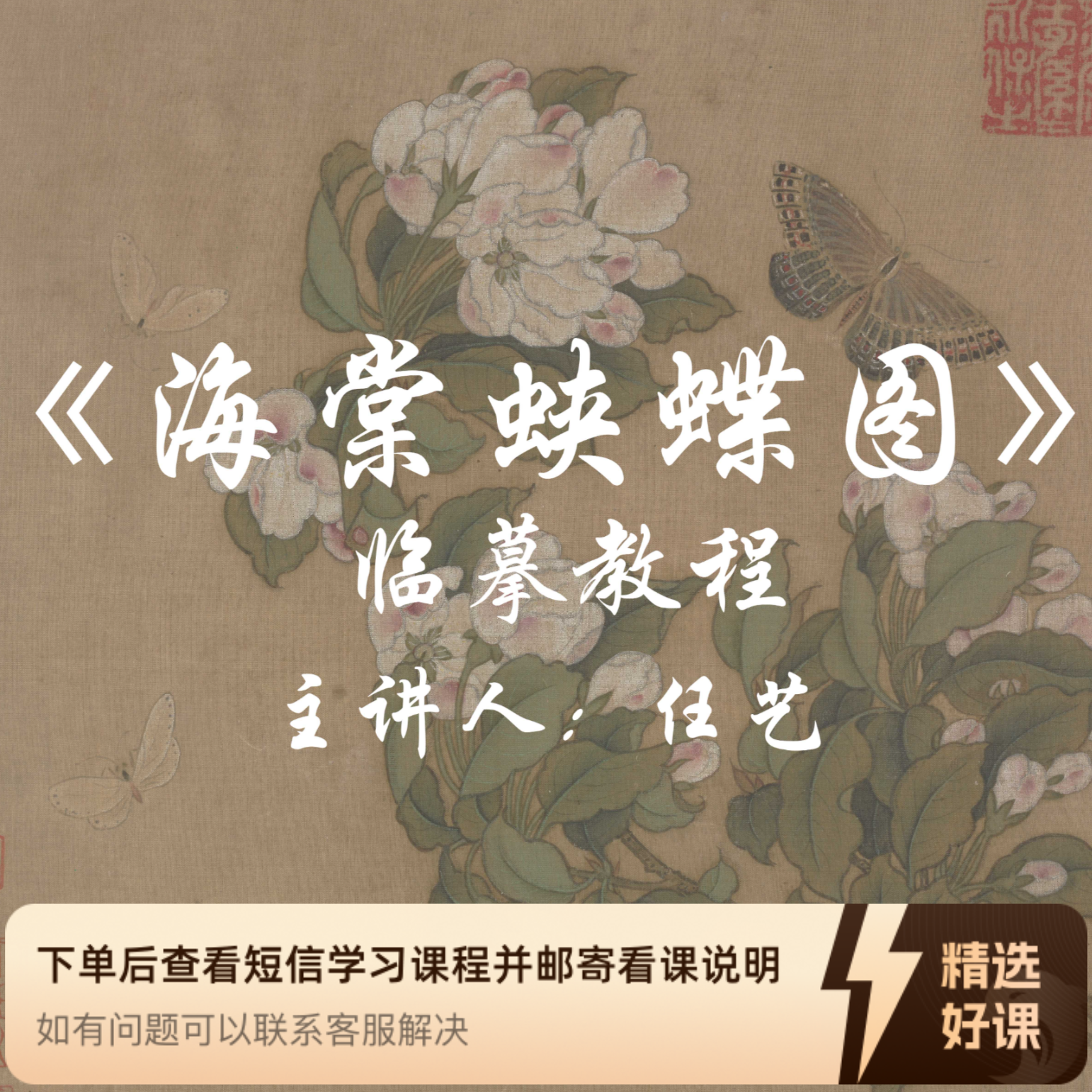 《海棠蛱蝶图》临摹教程（留意短信解锁课程）
