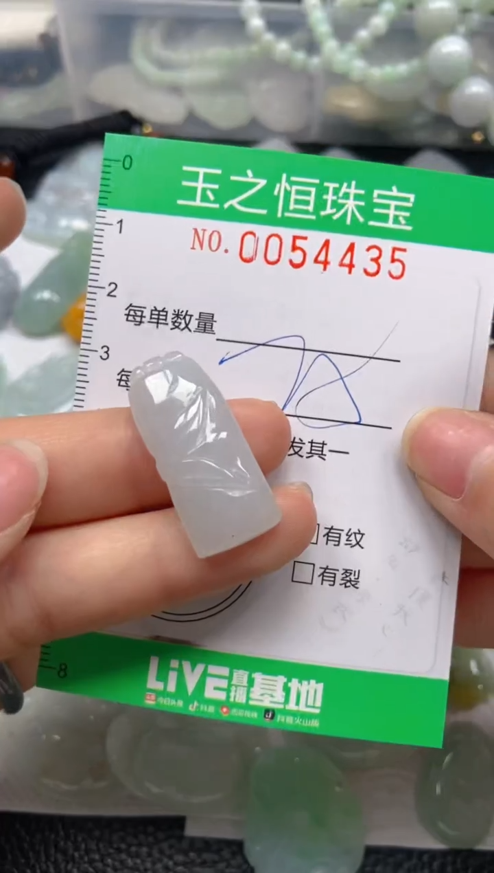 【闪购商品】翡翠未镶嵌颈饰闪购0054435