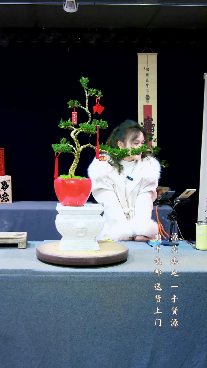 【闪购商品】雀舌黄杨盆景雀舌黄杨盆景