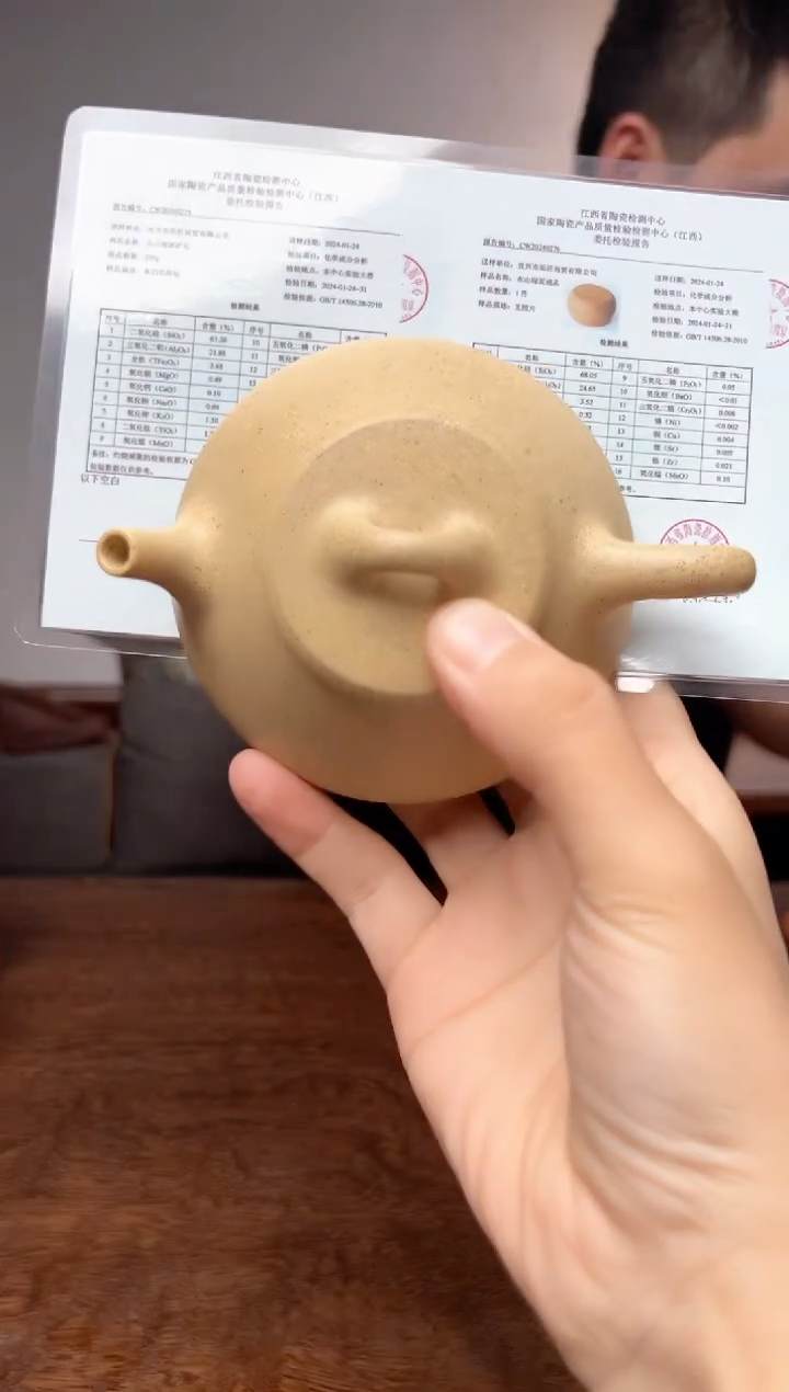 茶壶紫砂任瓢茶壶茶壶