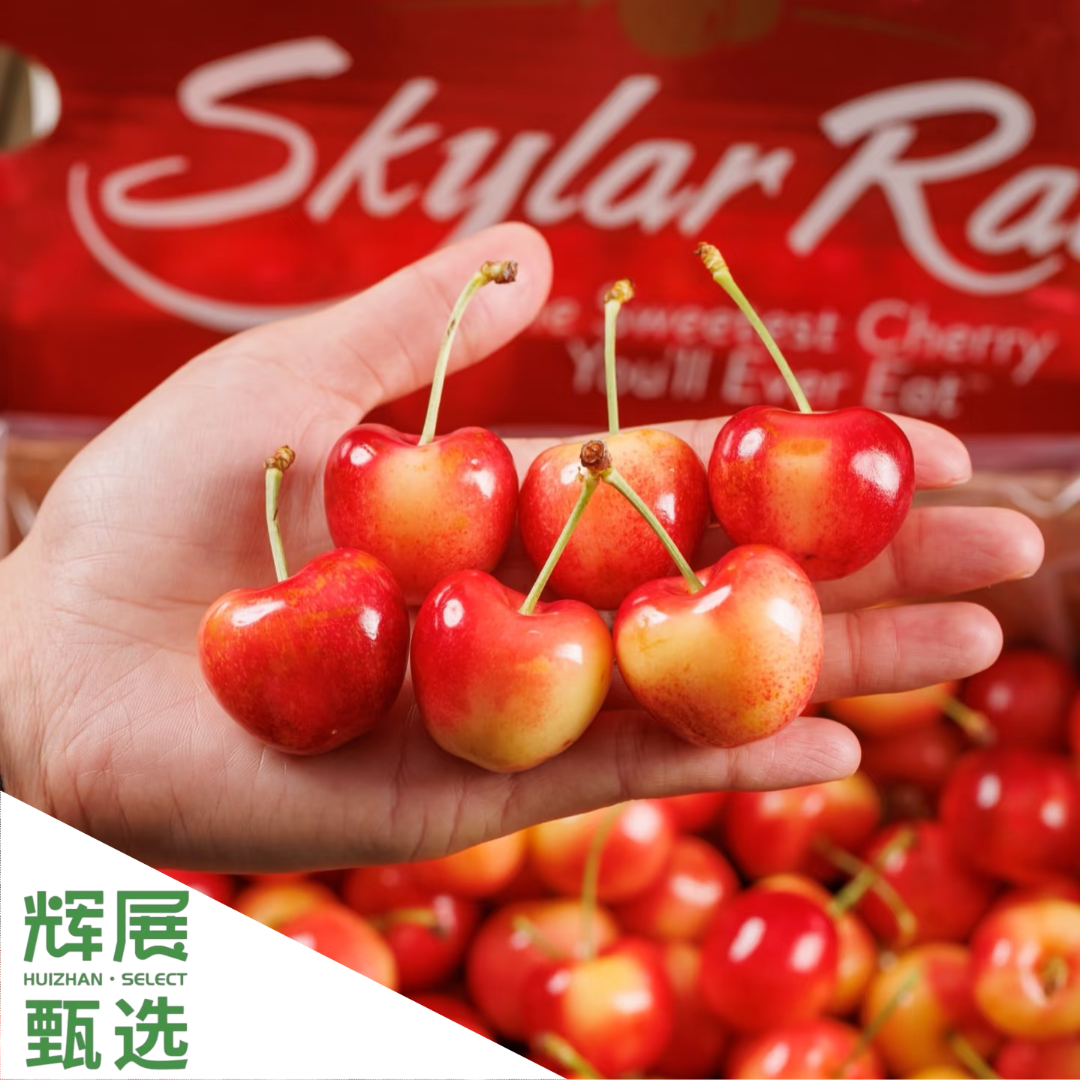 空运正牌斯凯拉雷黄智利1J黄车厘子内附果径卡顺丰