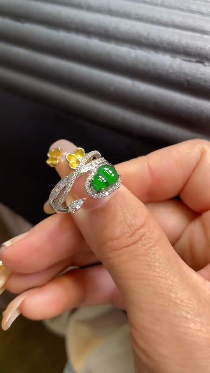 【闪购商品】翡翠颈饰未镶嵌      *49