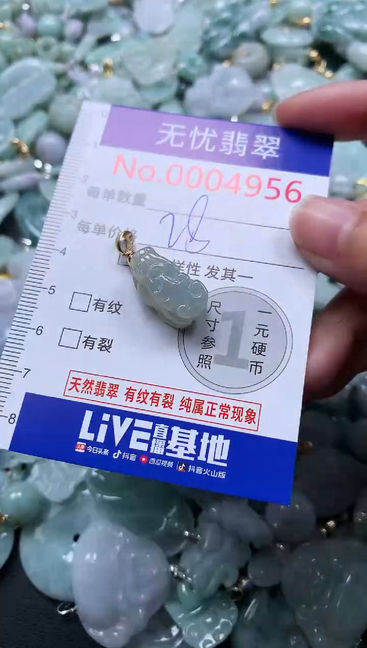 颈饰未镶嵌翡翠4956
