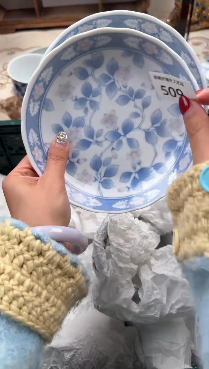 【闪购商品】瓷片B           509