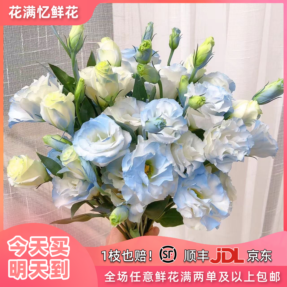 次日达-【碎冰蓝洋桔梗】1份洋桔梗鲜花批发直播任意两单升级顺丰包邮三单送随机花瓶一个今天拍明天到