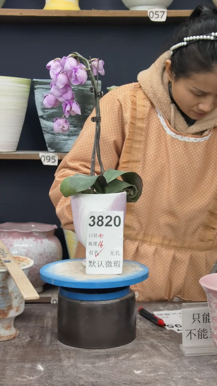 景德镇花盆默认微瑕3820