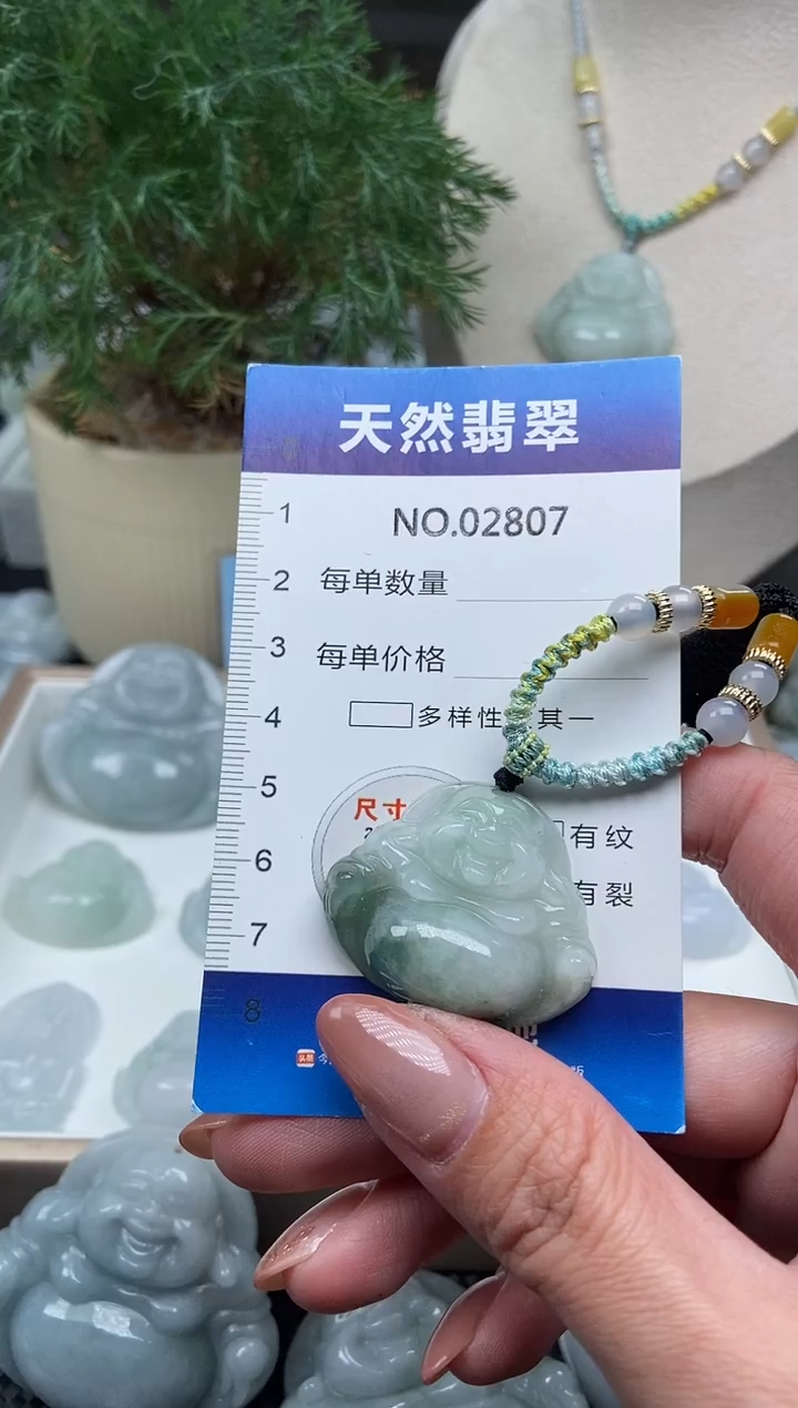 颈饰未镶嵌翡翠纯天然A货翡翠2807