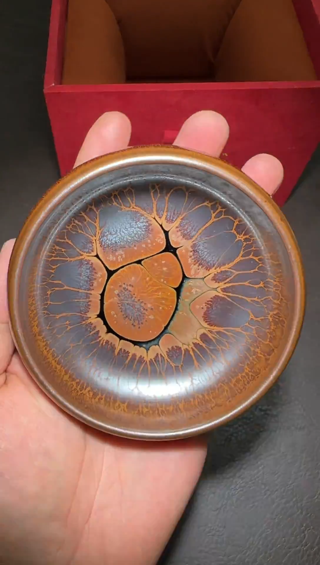 茶盏254号黄涛火莲