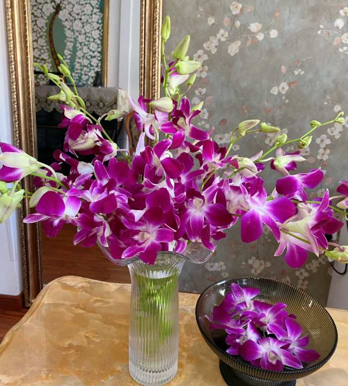 【紫色洋兰】超长待机  颜值高家居鲜花