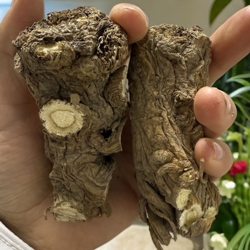 当归头整个甘肃岷县原产地直销可煲汤泡水的中药材