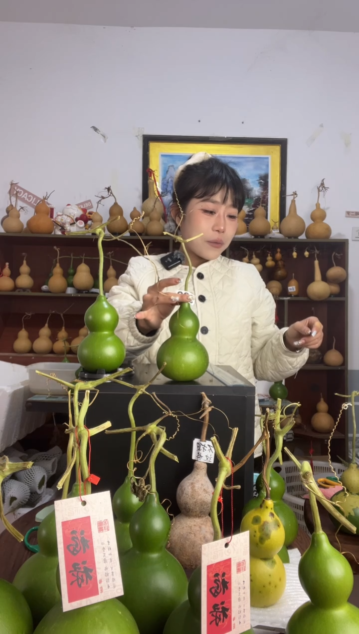 328天然葫芦摆件 一物一拍龙头不保售后