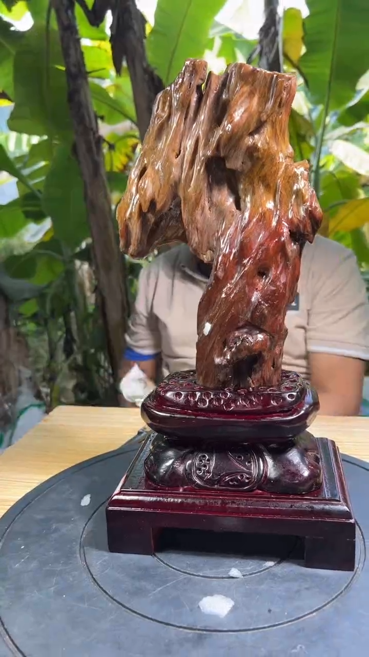 【闪购商品】硅化玉珠宝奇石未镶嵌拍一发一
