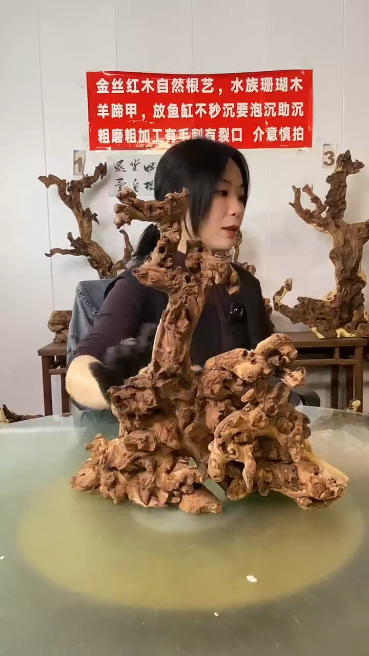 木聪*金丝红木  羊蹄甲