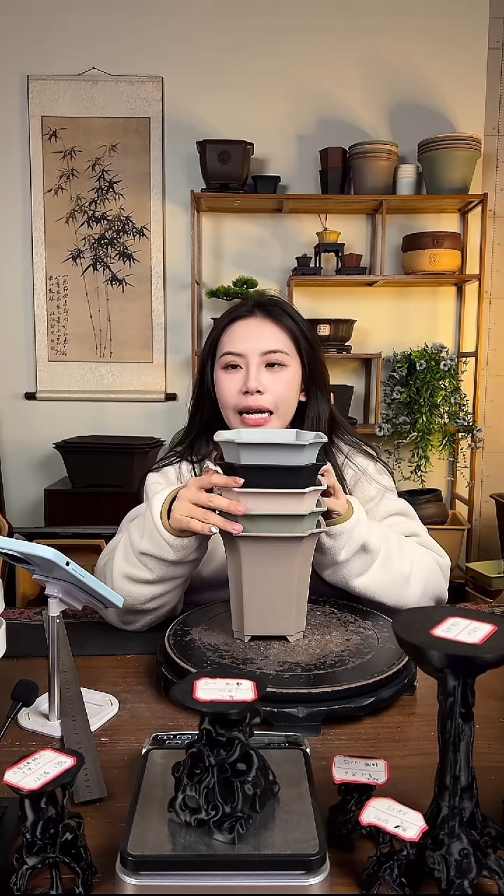 14.5四方尊 6只装颜色随机