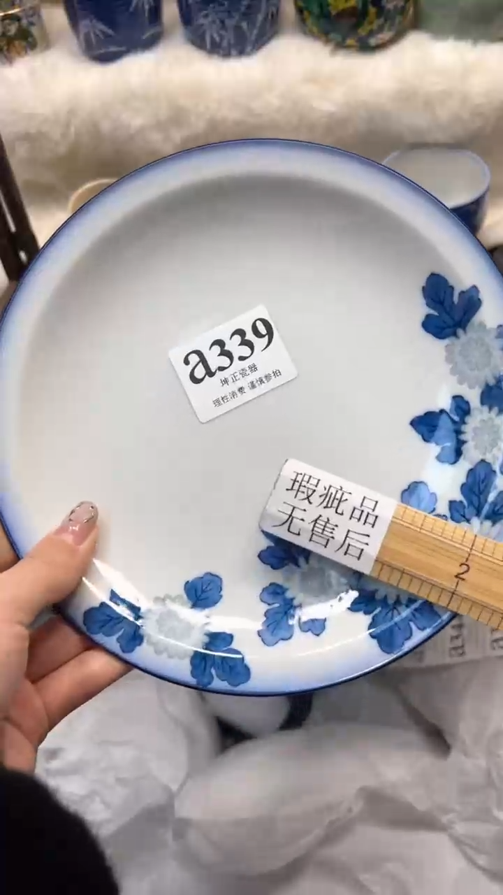 【闪购商品】瓷片          a339