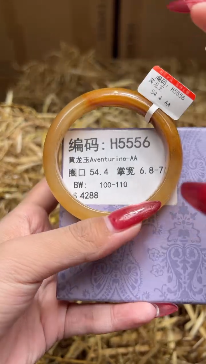 未镶嵌手镯石英质玉H5556
