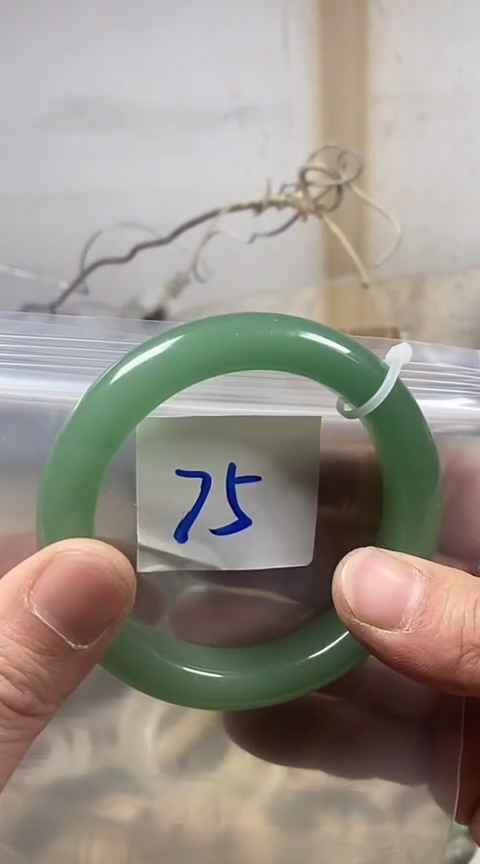 【闪购商品】石英质玉手镯未镶嵌60+75