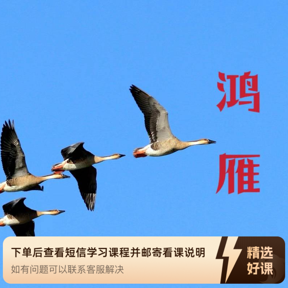 【鸿雁】线上精品课/永久有效（留意短信解锁课程）