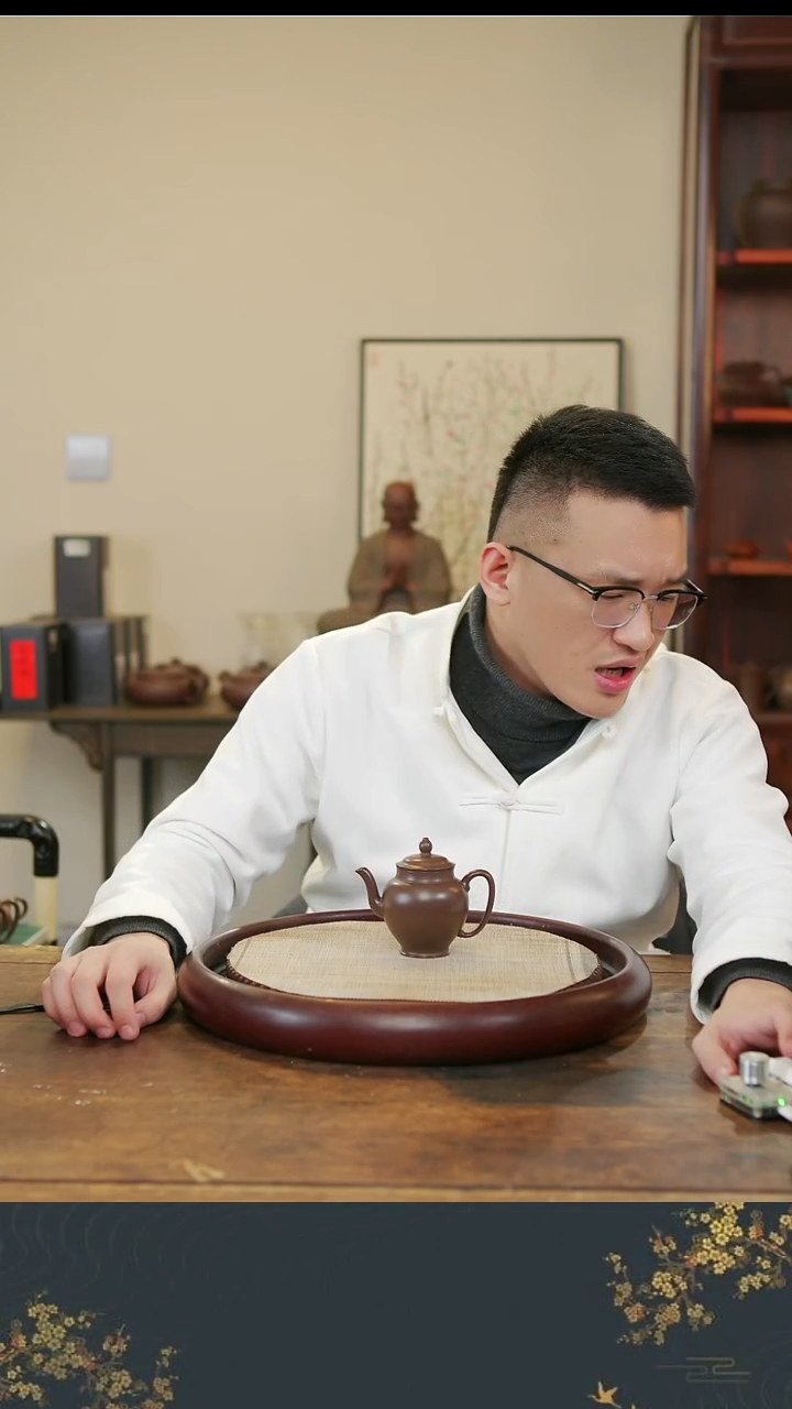 茶壶紫砂老行家紫砂3